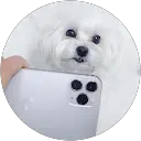 P Caur profile picture