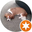 Ralph Joseph profile picture